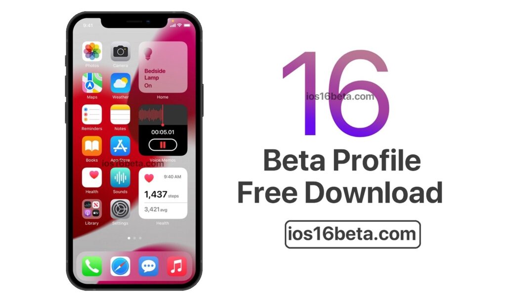 ios 16 beta profile download